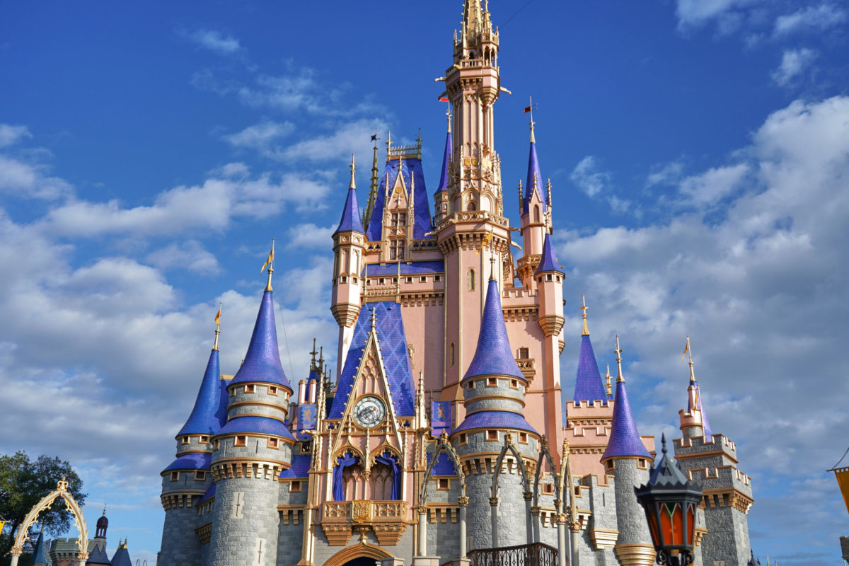 <span style="font-weight: bold;">DISNEY WORLD - ORLANDO, FL</span><br>