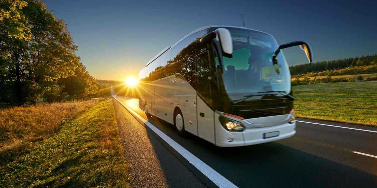 <span style="font-weight: bold;">TRANSPORTE&nbsp;</span>