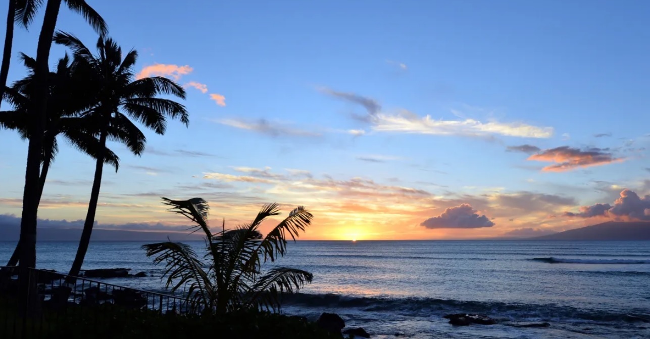 <span style="font-weight: bold;">IXTAPA</span><br>