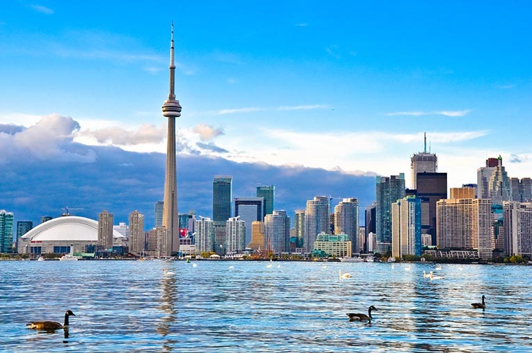 <span style="font-weight: bold;">TORONTO&nbsp;</span>
